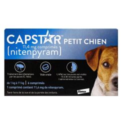 Capstar Pt Chien Cpr 11Mg4 B6