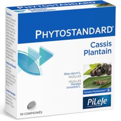 PHYTOSTANDARD Cassis Plantain