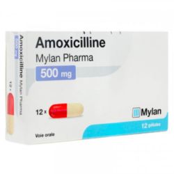 Amoxicilline Viatris 500Mg Gelu12