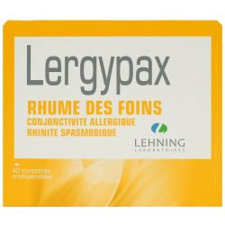 Lergypax Comprimes Orodispersibles *40